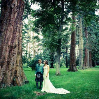 Wedding Photo at the Giant Redwoods
